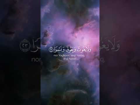ق ال ن وح ر ب إ ن ه م ع ص و ن ي و ات ب ع وا م ن ل م ي ز د ه م ال ه و و ل د ه إ ل ا خ س