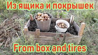 Посадка Картошки В Ящик И Покрышки / Potatoes From A Box And Tires