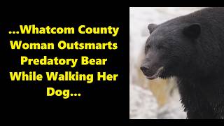 Scary Bear Attacks: Washington Woman Outsmarts Predatory Black Bear Near Olsen Creek