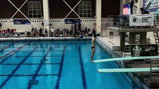 2026 PIAA Diving State Championship 2A