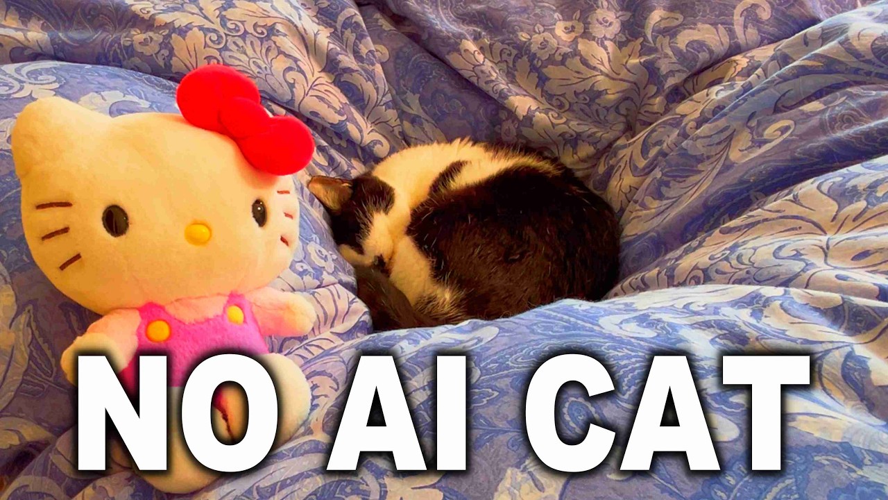 The sun sets to shine again tomorrow. 🌇 Sunset Room & Sleeping Cat / Cozy Lo-fi to Study & Focus