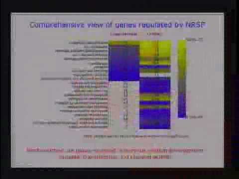 Global Analysis of Transcriptional Regulation in H...