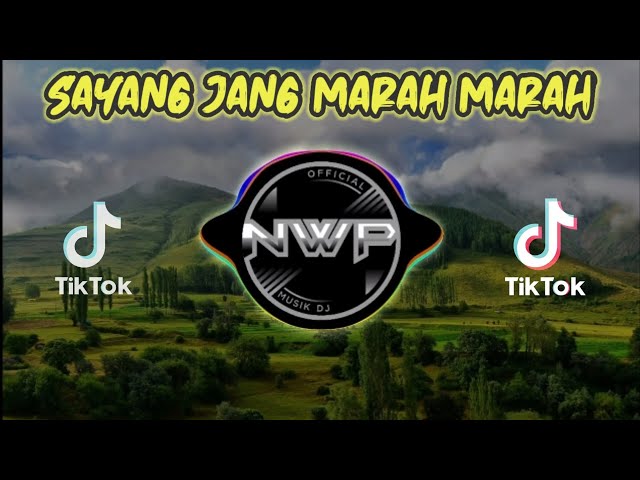 DJ SAYANG TOLONG JANG MARAH MARAH TIK TOK VIRAL 2020 class=