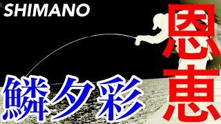 【ヘチ釣り】shimano鱗夕彩ヘチスペシャルの恩恵！攻略の鍵は...