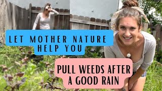 Easiest way to pull weeds #gardening #backyardfarming #flowerfarm #growingflowers #zone9b