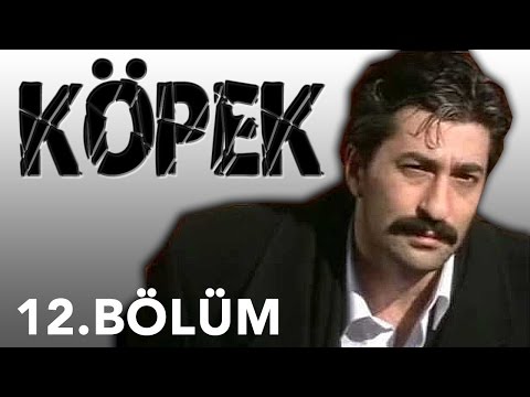 Köpek - 12.Bölüm