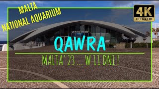 QAWRA AQUARIUM [4K] – MALTA’23 W 11 DNI! (#37 zabytki i atrakcje rycerskiej wyspy słońca)