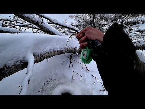 Рыбалка в КОРЯЖНИКЕ, ВЫХОД БЫЛ НА РАССВЕТЕ! Судак,окунь. рыбалка на Оби.