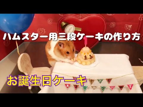 ハムスター用三段お誕生日ケーキの作り方 Youtube