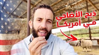 كيف قضينا العيد الأضحى | أجواء الريف الأمريكي 🇺🇸