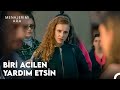 Sette Ortalık Karıştı - Menajerimi Ara 11. Bölüm