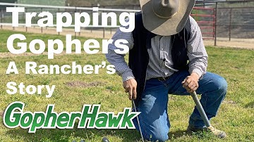 GopherHawk | Trapping Gophers, a Rancher