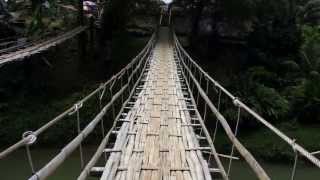 Bohol's Bamboo Hanging Bridges of Sevilla