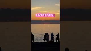 Сейчас в Сочи #shorts #сочи #новыйгод #tiktok