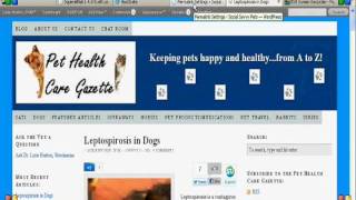 How to Create a Search Engine Friendly Permalink in Wordpress