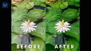 Editing White Lotus Image in Lightroom Mobile in Hindi screenshot 1