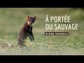  porte du sauvage  bande annonce