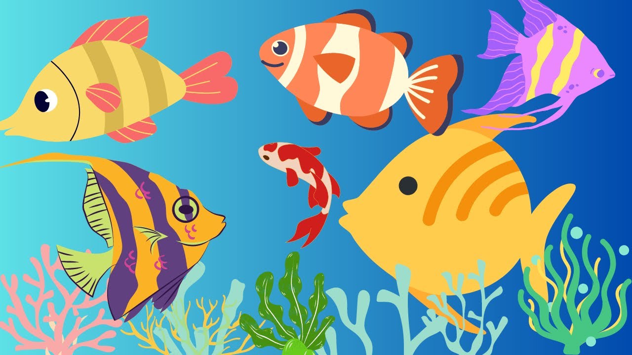 Colour Fish | Animation for kids | Kids Lakka - YouTube