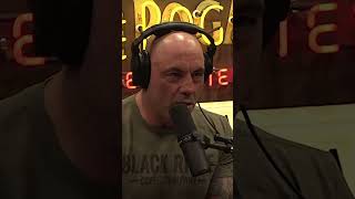 The World Has Gone Bonkers