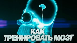 Тренировка мозга | Упражнения для тренировки памяти