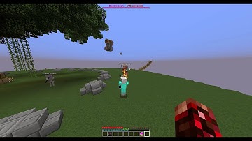 McCentral Hacker: Turlee (Aimbot)