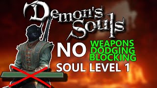 Can You Beat Demon's Souls Without Using Stamina?