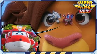 [SUPERWINGS7] Itchy Lion Rescue | Superwings Superpet Adventures | S7 EP14 | Super Wings