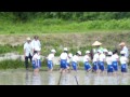 小学生児童の田植え体験学習風景-2