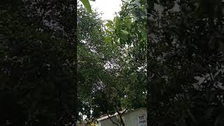 Download Lagu Tahukah kamu ada dua dia yang tidak akan ditolak #doa mustajab#lapangan #shortvideo MP3