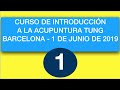 Curso Introducción Acupuntura Tung 1