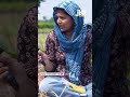 Pain, Pregnancy And Poverty In Sugarcane Fields | Ground Report| Jist