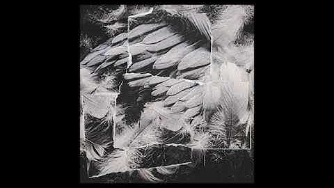 PREMIER // Violet Poison - Relitto (Unhuman Remix) [e s p e r p e n t o]