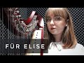 Ludwig van Beethoven - Für Elise (harp cover)