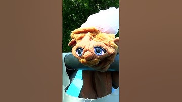 Thumbnail of DON'T EAT WATERMELON!