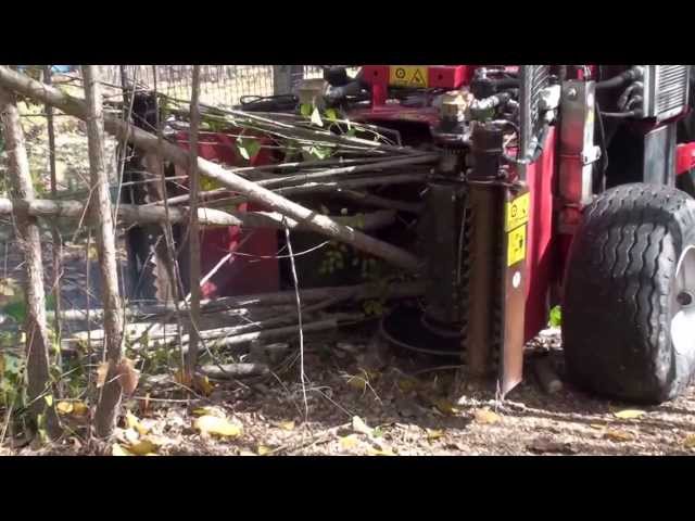 Harvesting poplar trees with diameter up to 25 cm (!!!) DEMO