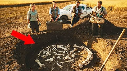 [Untold Story] A Giant Fossil Hidden Beneath the Earth Astonishes Excavation Team!