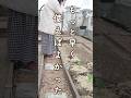 病害虫に悩んでる人以外見ないで #shosts #ガーデニング 【PR】
