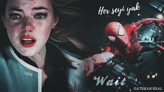 THE AMAZING SPIDERMAN PETER-GWAN SAD EDIT (DUMAN - HER ŞEYİ YAK)