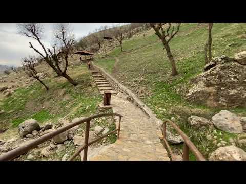 ئه شكه وتى شانه ده ر