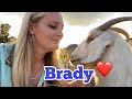 Brady’s On The Mend