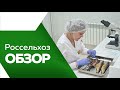 РОССЕЛЬХОЗОБЗОР №9