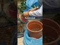No Yard?No Problem- Try Container Gardening!