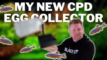 EFFORTLESSLY Breed CPDs, Rasboras, Tetras and Danios with this 3D Printed Egg Trap