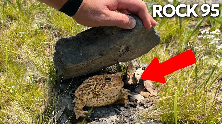 I Flipped 100 Rocks in an Abandoned Quarry Mine!