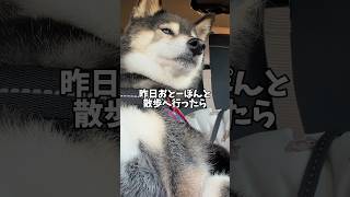 情けない飼い主…