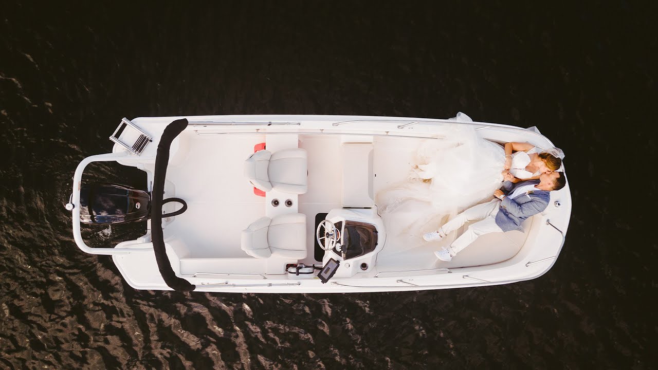 2022 | Palm Tree Studio