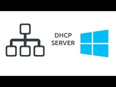 Hướng dẫn cấu hình DHCP Server trên Switch Cisco CBS350