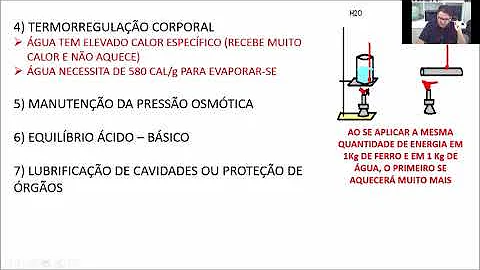 Qual a temperatura e pH ideal do rúmen?