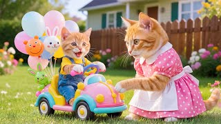 Creative Kitten Ginger Made A Bicycle From Colorful Balloons, Mother Cat Is Very Impressed
