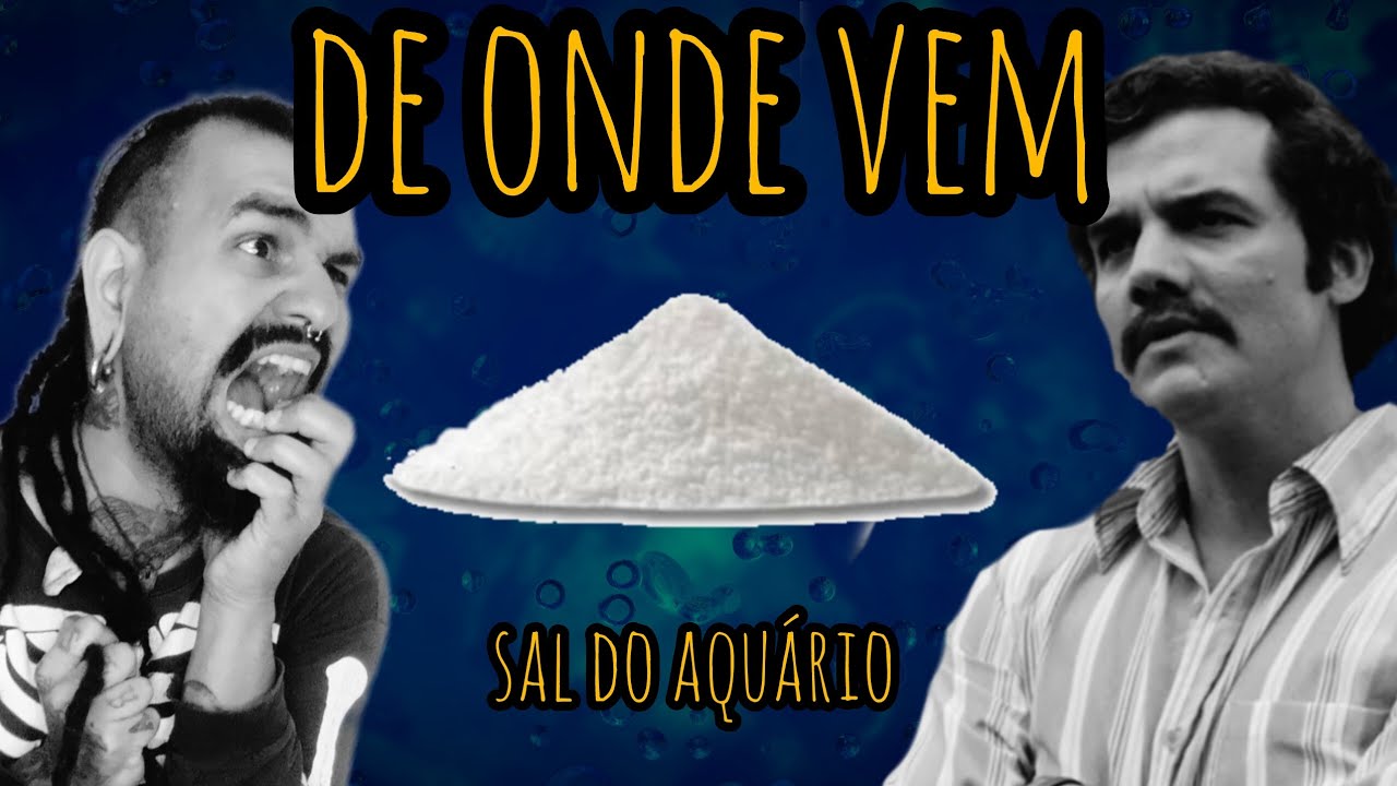Sal do aquário - Muita gente não imagina de onde vem - Aqua Gama - Rick Gama 